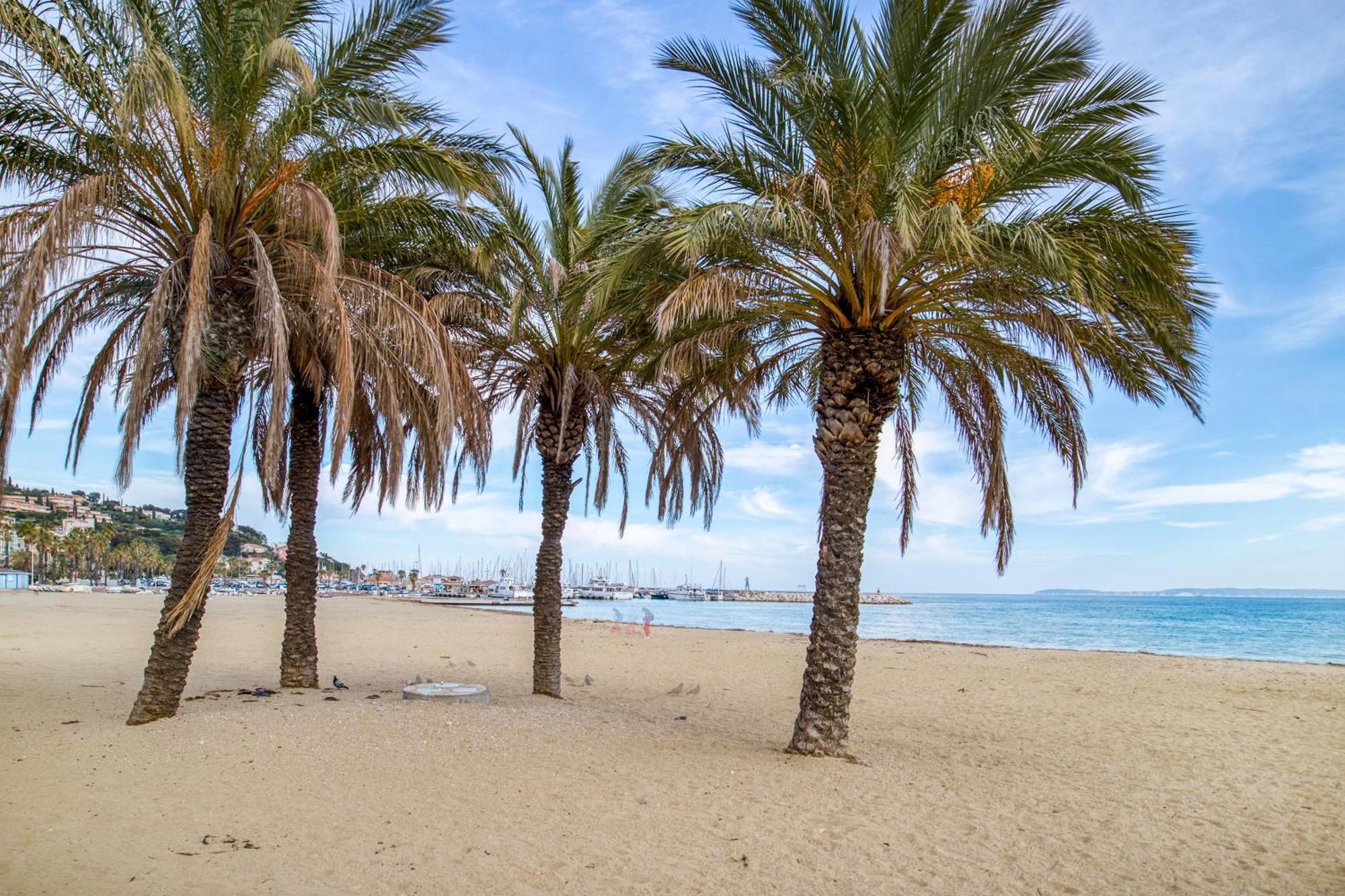 Nouvelle Ere - Appt A Moins D'Un Km De La Plage Le Lavandou Ngoại thất bức ảnh